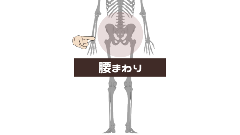 腰回りの悩み