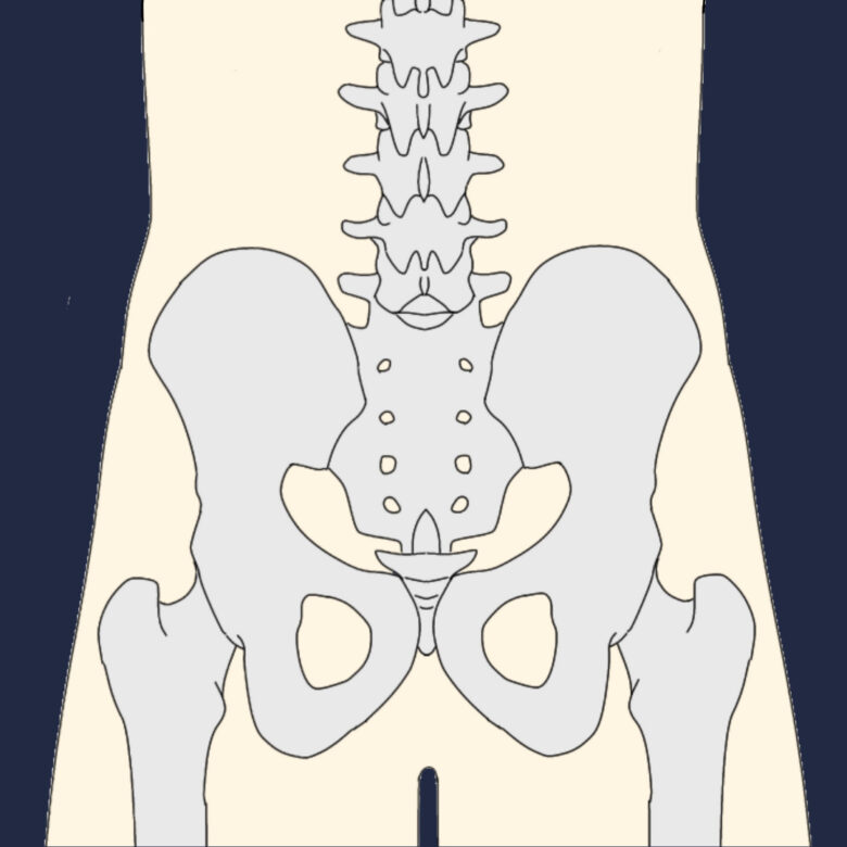腰・股関節に関連する症状